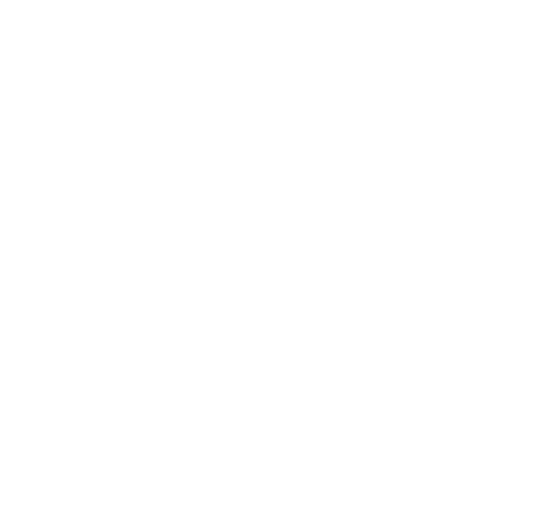 nadine vocal coach white logo